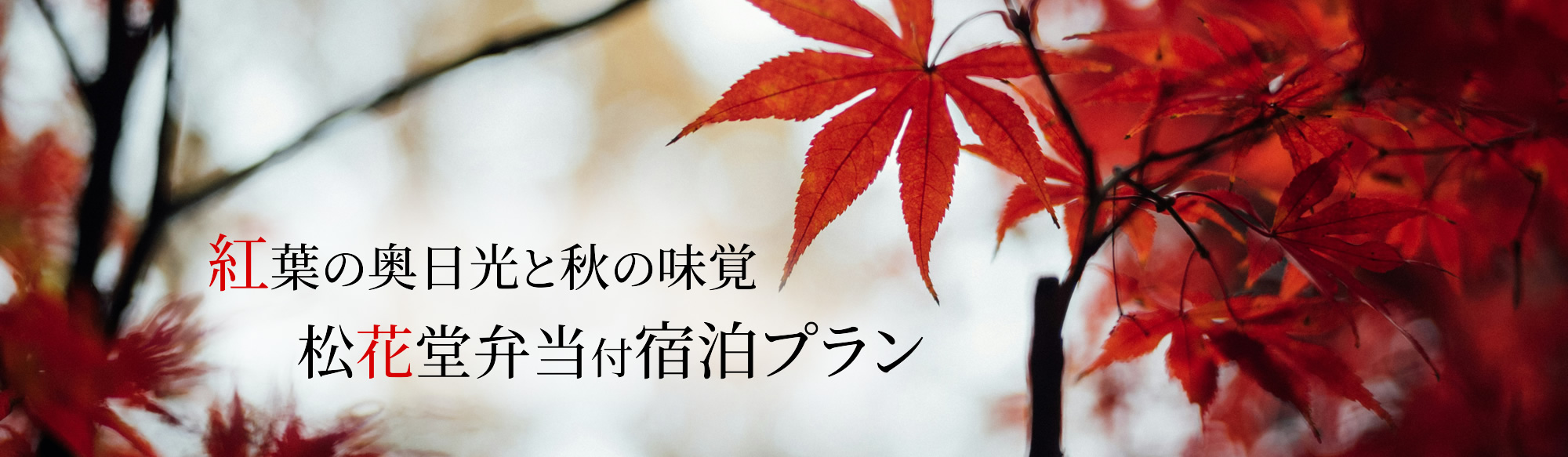 紅葉の奥日光と秋の味覚　松花堂弁当付宿泊プラン